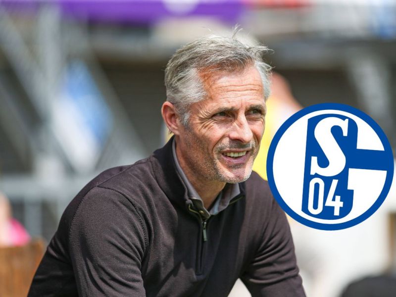 FC Schalke 04: Van Wonderen legt sich fest! S04-Coach trifft erste Entscheidung