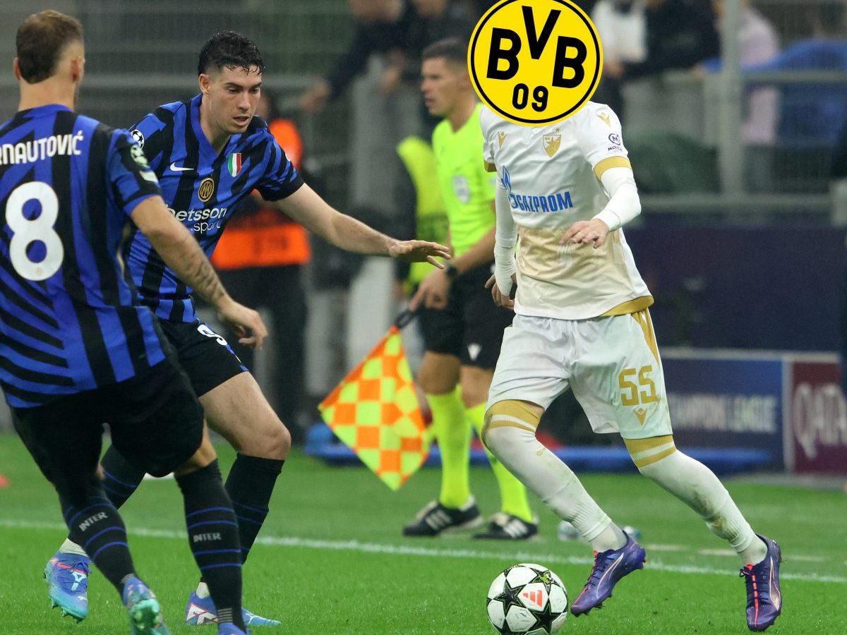 Borussia Dortmund: Andrija Maksimovic