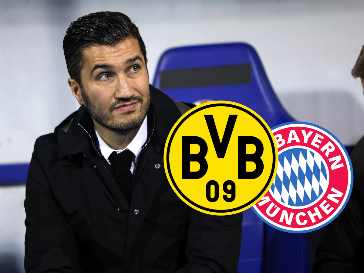 BVB Bayern Adeyemi