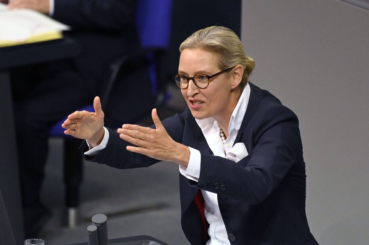 Weidel im Bundestag