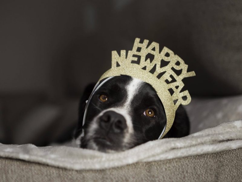 Silvester 2025: Tier
