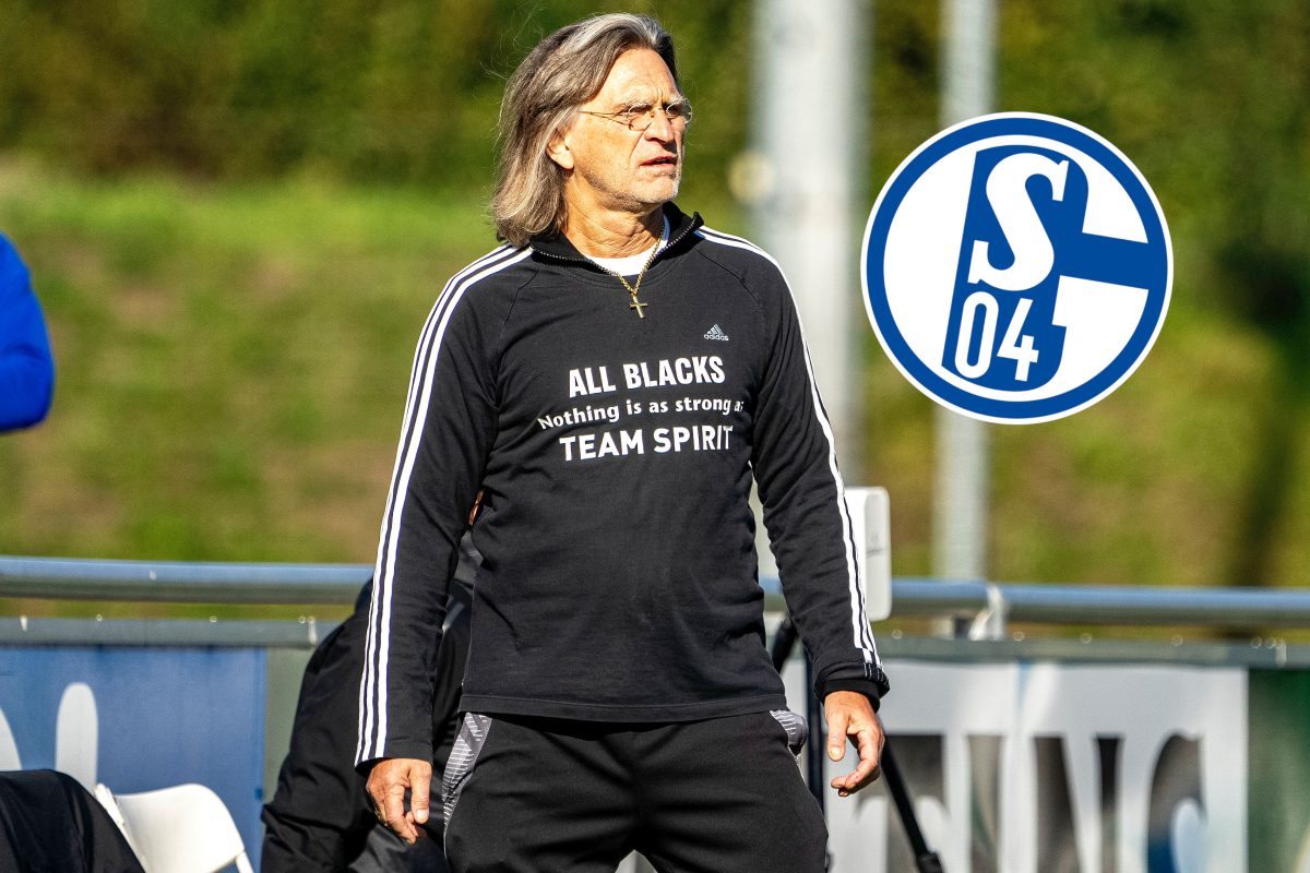 FC Schalke 04: Norbert Elgert