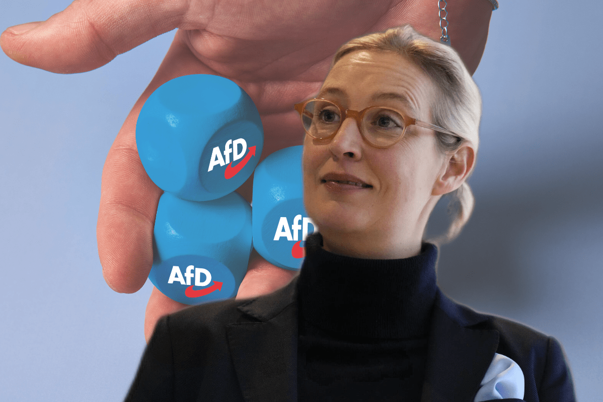 Die AfD befindet sich laut INSA auf dem Weg nach vorne.