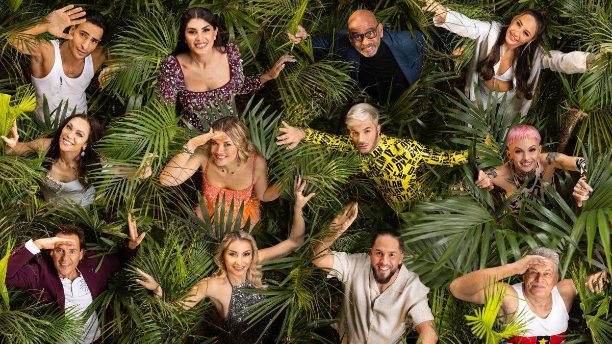 Die Stars von IbeS