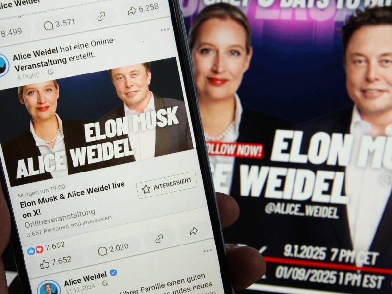Weidel und Musk.