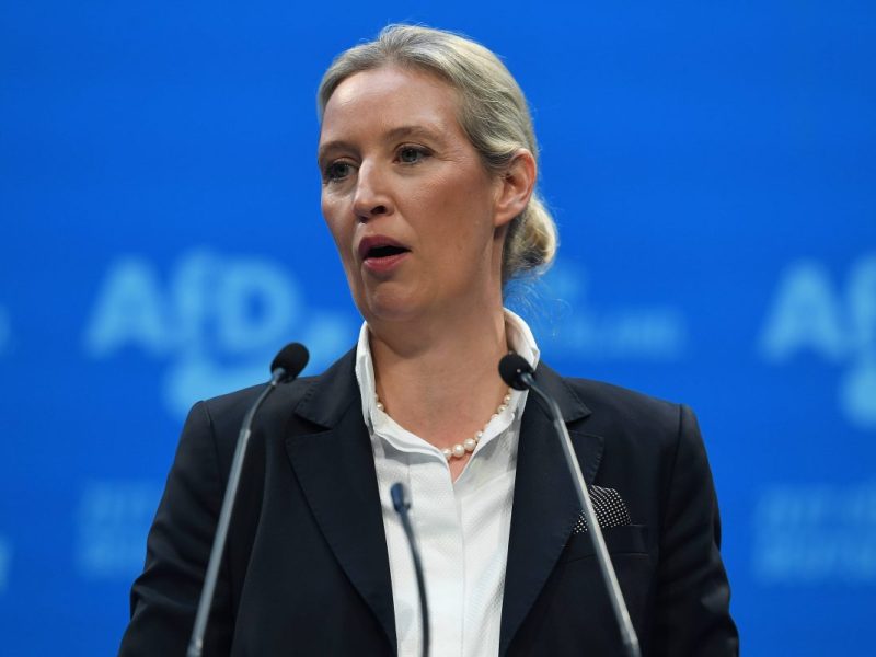 AfD fremdelt mit Weidels Lebensmodell.