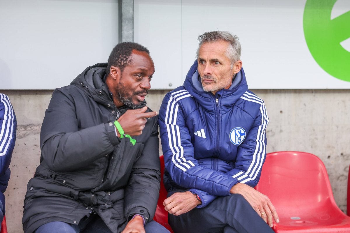 Transfer-WÃ¼nsche von Schalke 04-Trainer Kees van Wonderen enthÃ¼llt! Kann Kaderplaner Ben Manga diese erfÃ¼llen?