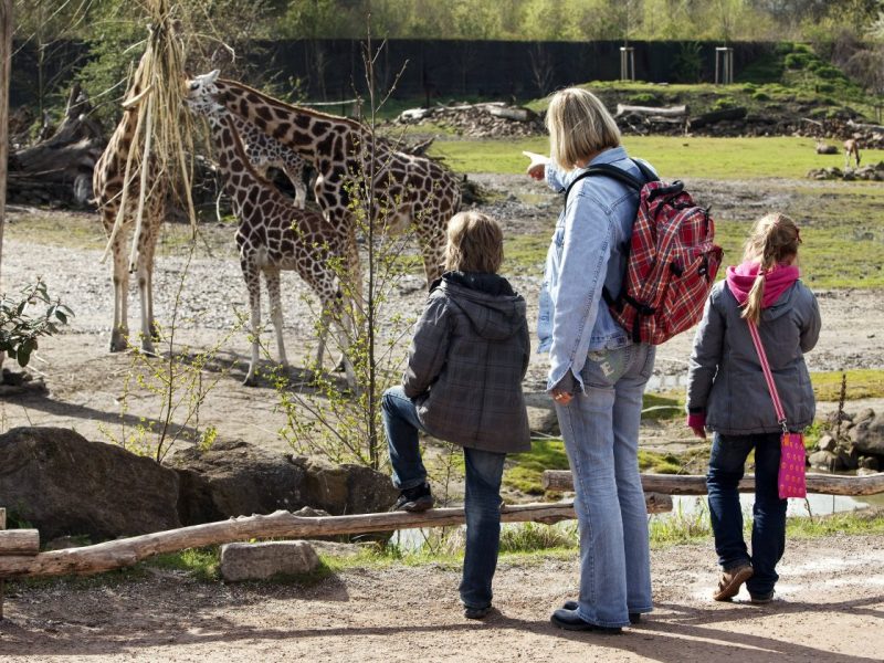 Eine Frau erfüllte sich mit einem Zoo-Besuch ihren letzten Herzenswunsch. (Symbolfoto)