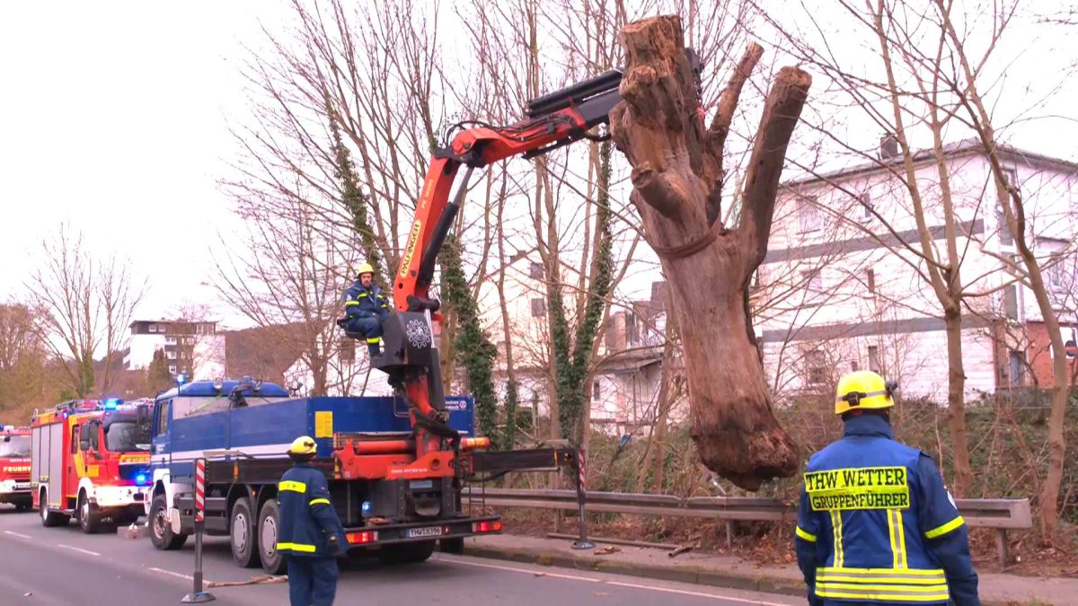 In Wetter auf der RuhrstraÃŸe riss der Sturm am Neujahrsmorgen einen massiven Baum um. Feuerwehr und THW mussten ihn bergen, die angrenzende Bahnlinie blieb dafÃ¼r gesperrt.
