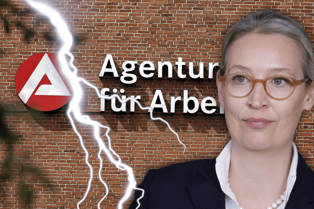 Die AfD hat drastische Pläne für das Bürgergeld – wer arbeitslos wird, soll viel schneller finanzielle Einbußen spüren!