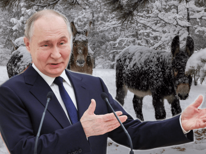 Putin setzt im Kampf gegen die Ukraine auf Nutztiere.