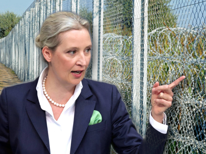 Weidel und ein Grenzzaun.