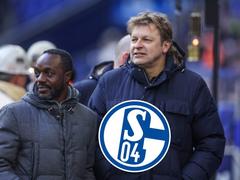 FC Schalke 04: Youri Mulder
