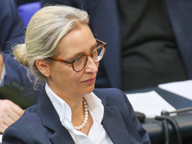 Ein Verbot der AfD könnte genau das Gegenteil bewirken: Statt die Partei zu schwächen, könnte sie radikaler und gefährlicher denn je zurückkommen. Droht Deutschland eine neue Eskalation?