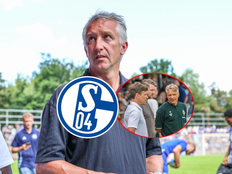 Grausame Entwicklung! Für Schalke 04 ist sie Ohrfeige und Chance zugleich