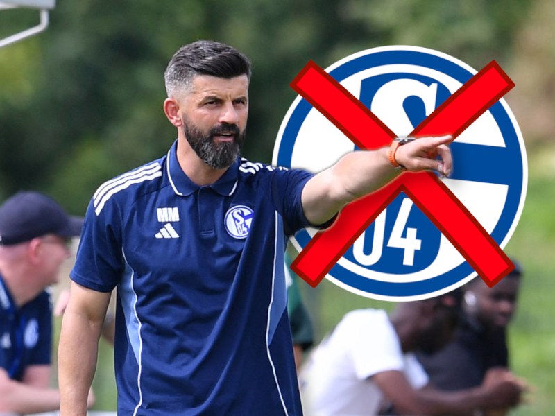 Miron Muslic hat entschieden! Stars sollen Schalke 04 sofort verlassen